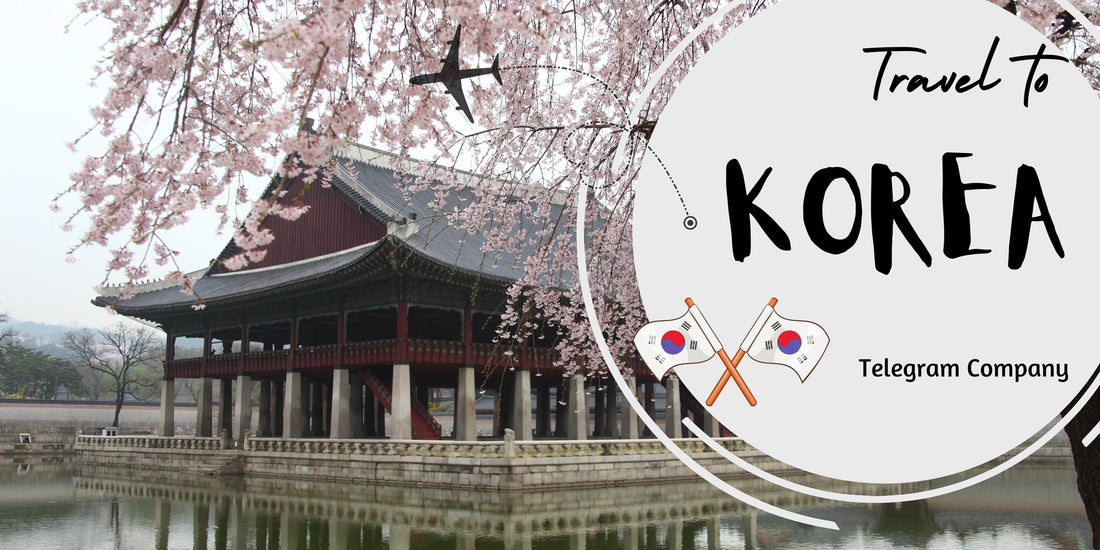 Best eSIM for Korea Travel: Best Choices for KT, SK Telecom, and LG U+